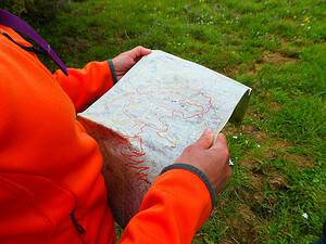 person looking at map